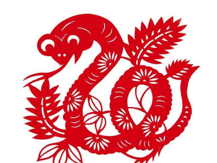 Snake chinese zodiac