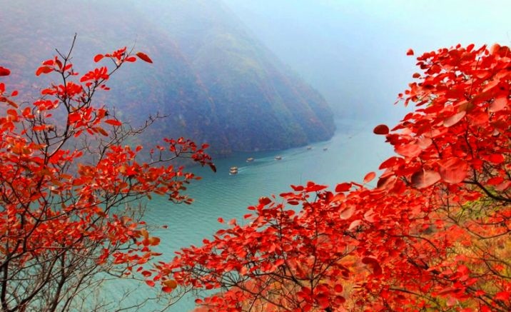The 13th Wushan International Red Leaves Festival launches