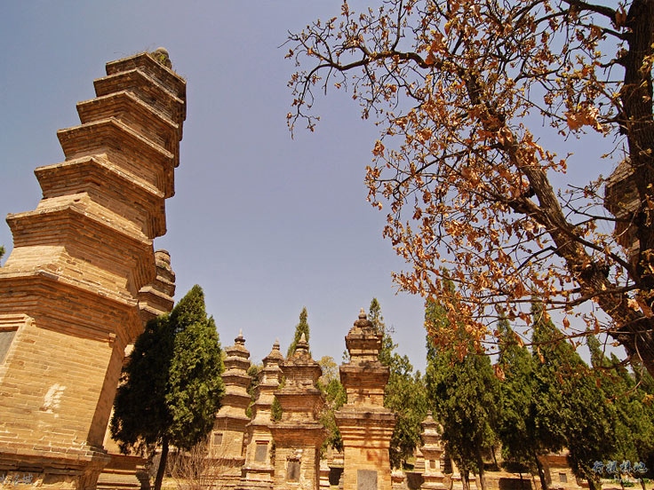 Luoyang & Shaolin Temple Tours
